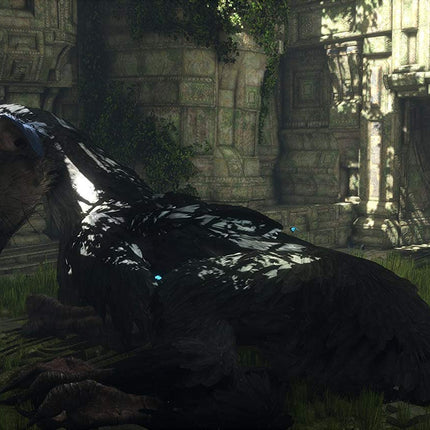 The Last Guardian | PS4